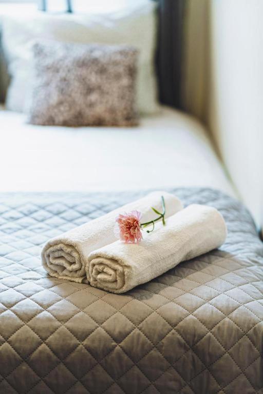 Apartament Niecala Queens Superior Lublin Dış mekan fotoğraf